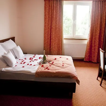 Hotel Centrum Cezar Zawiercie